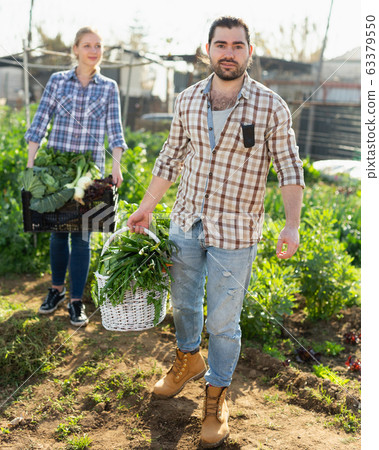 Gardeners posing with vegetables harvest Gardeners posing with vegetables harvest 63379550