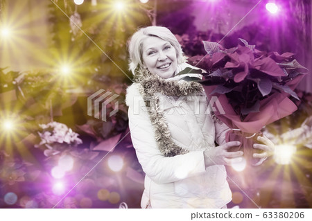 Positive mature woman buying flowers at Christmas Fair Positive mature woman buying flowers at Christmas Fair 63380206