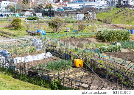 京都伏見區的小栗洲和Dai吾出租農場 京都伏見區的小栗洲和Dai吾出租農場 63381903