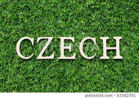 Wood alphabet letter in word czech on green grass 63382591