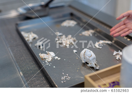 Dog's remains 63382983