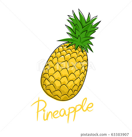 Pineapple isolated on white background 63383907