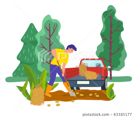 Man Harvesting Potato, Farming Male with Truck 63385177