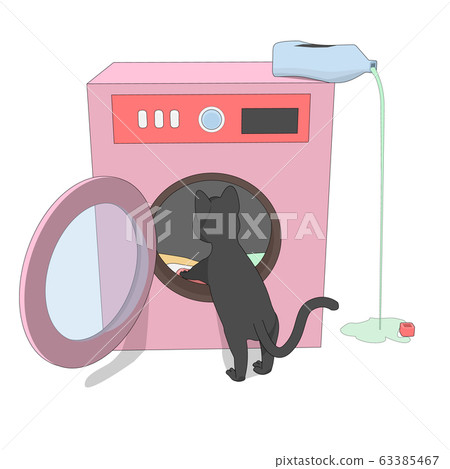 Gray cat and a pink washing machine.  63385467