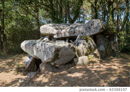 Dolmen de Roch-Feutet near Carnac in Britanny Dolmen de Roch-Feutet near Carnac in Britanny 63389197