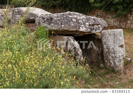 Dolmen Mane Rutual, Locmariaquer, Brittany 63389313