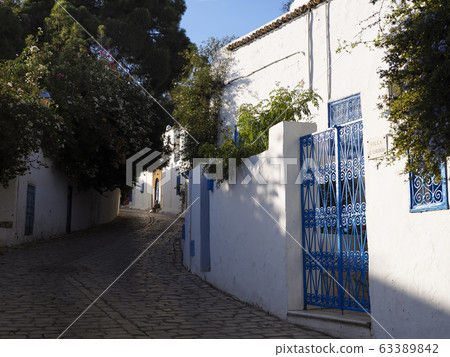 突尼斯·Sidibuside小徑/ Sidi Bou Said，突尼斯 63389842