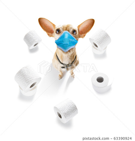 ill sick dog with illness and paper rolls 63390924