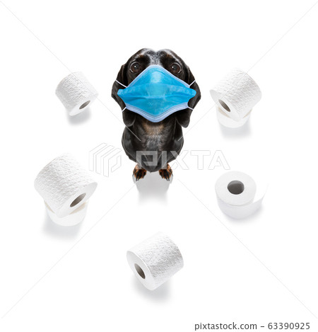 ill sick dog with illness and paper rolls 63390925