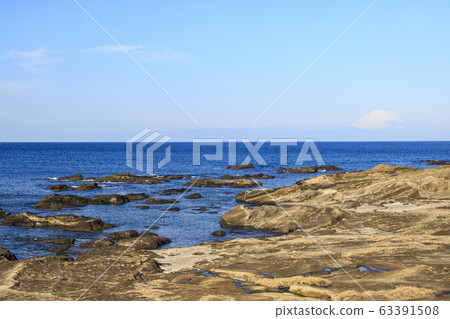 Shonan Shonan 63391508