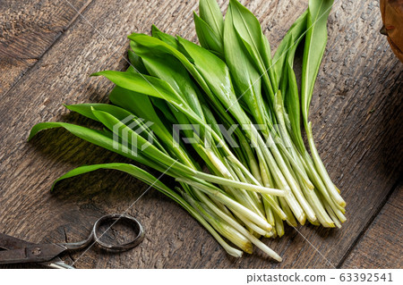 Fresh wild garlic and scissors on a wooden table Fresh wild garlic and scissors on a wooden table 63392541