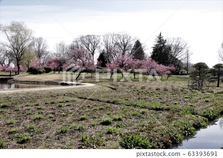 Furukawa General Park (Hasunuma and Torin) 63393691