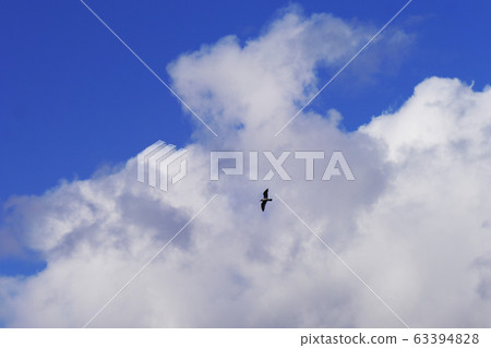 Blue Sky and Birds Blue Sky and Birds 63394828