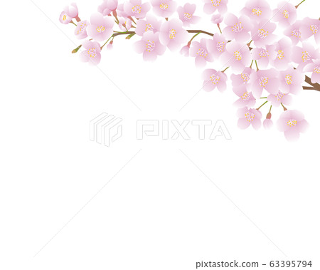 flower, flowers, cherry blossom 63395794