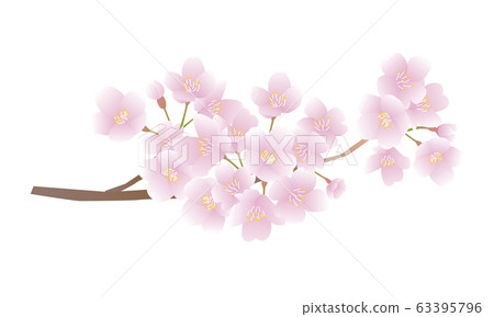 花朵 花 花卉 63395796