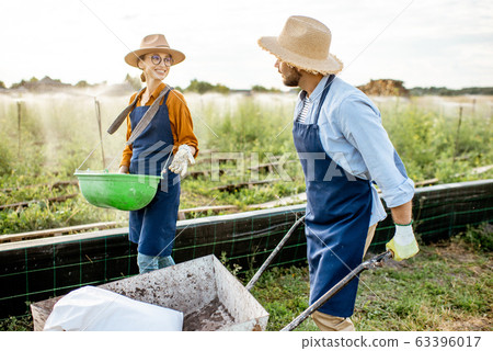 Two workers on the farmland outdoors Two workers on the farmland outdoors 63396017