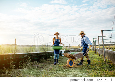 Two workers on the farmland outdoors 63396021