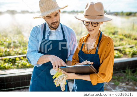 Man and woman on the farmland for snails growing outdoors 63396113