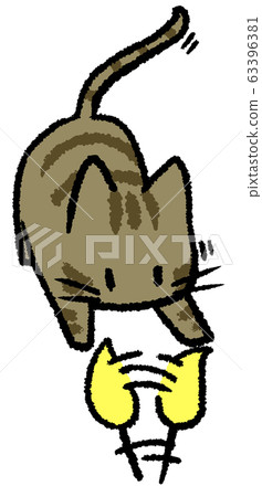 Pheasant cat playing Pheasant cat playing 63396381