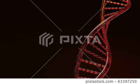 The red Dna 3d rendering on black background for science content. 63397250
