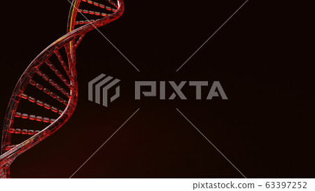 The red Dna 3d rendering on black background for science content. 63397252