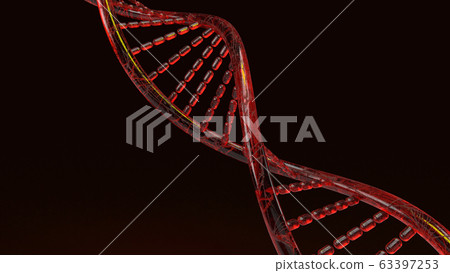 The red Dna 3d rendering on black background for science content. The red Dna 3d rendering on black background for science content. 63397253