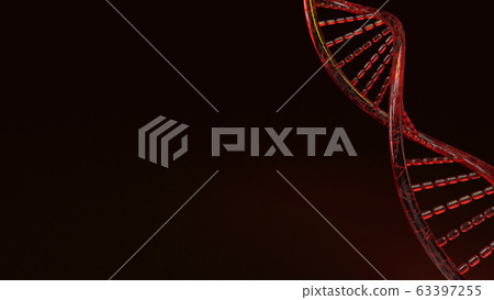 The red Dna 3d rendering on black background for science content. The red Dna 3d rendering on black background for science content. 63397255