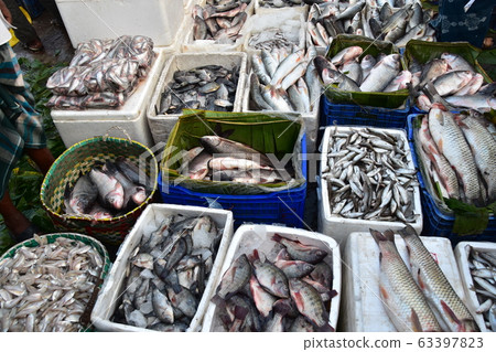 Chittagong, Bangladesh Fish market along the river pouring into the Bay of Bengal Many fish lined up outdoors Chittagong, Bangladesh Fish market along the river pouring into the Bay of Bengal Many fish lined up outdoors 63397823