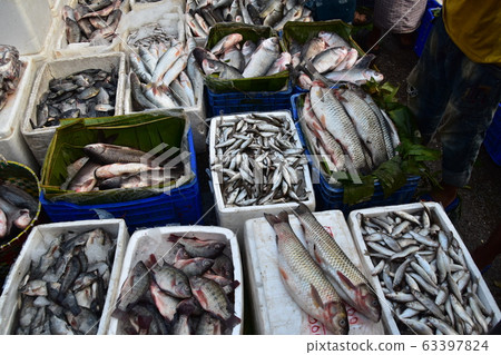 Chittagong, Bangladesh Fish market along the river pouring into the Bay of Bengal Many fish lined up outdoors 63397824