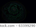 Ranunculus 63399290