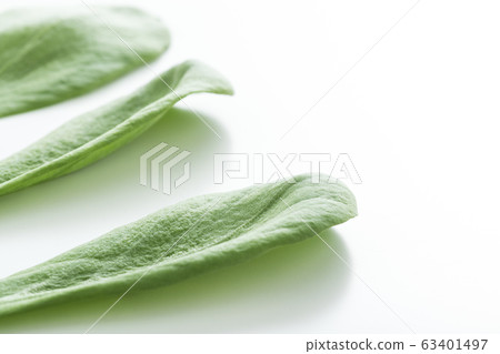 蕎麥菊花Oba（北九州特產） 63401497