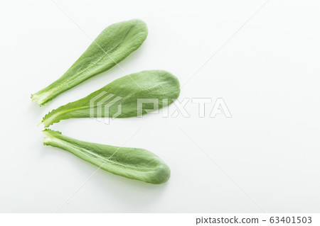 蕎麥菊花Oba(北九州特產) 蕎麥菊花Oba(北九州特產) 63401503