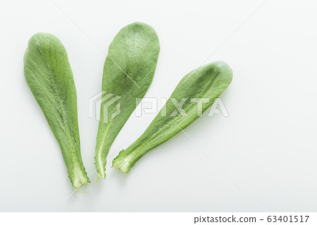 蕎麥菊花Oba(北九州特產) 蕎麥菊花Oba(北九州特產) 63401517