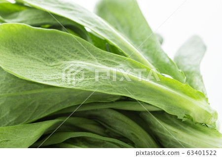 蕎麥菊花Oba(北九州特產) 蕎麥菊花Oba(北九州特產) 63401522