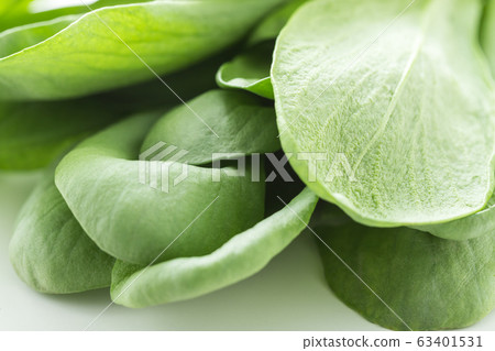 蕎麥菊花Oba(北九州特產) 蕎麥菊花Oba(北九州特產) 63401531