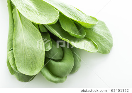 蕎麥菊花Oba（北九州特產） 63401532