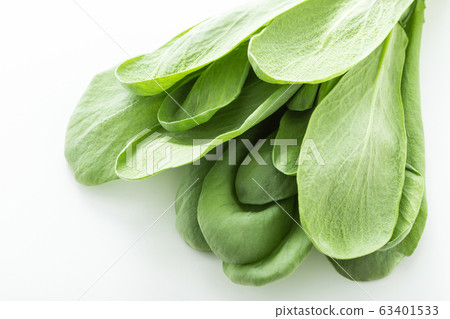 Soba chrysanthemum Oba (Kitakyushu specialty) Soba chrysanthemum Oba (Kitakyushu specialty) 63401533