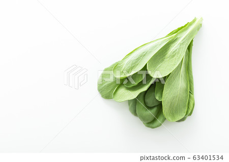 蕎麥菊花Oba（北九州特產） 63401534