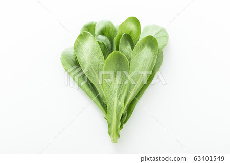 Soba chrysanthemum Oba (Kitakyushu specialty) Soba chrysanthemum Oba (Kitakyushu specialty) 63401549