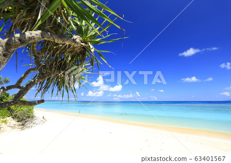 Hateruma Island / Nishihama 63401567