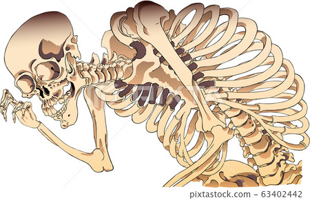 古內背後的索瑪骨骼 古內背後的索瑪骨骼 63402442
