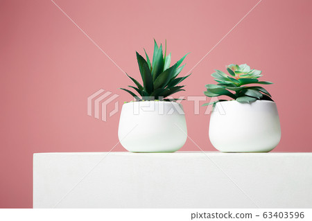 abstract still life. Couple of Plant over pink abstract still life. Couple of Plant over pink 63403596