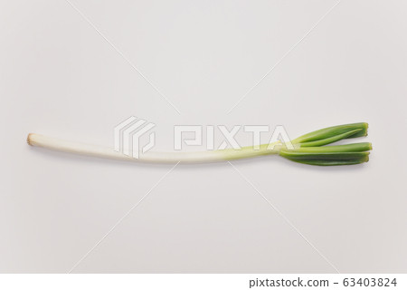Green onions, long onions, white onions 63403824