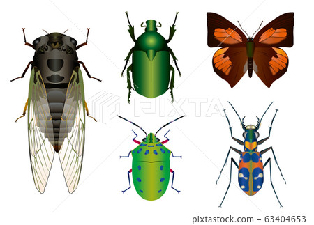 Kazememi和Kanabun，Nanahoshikin臭蟲，Hanmyo，Uraginjijimi 63404653