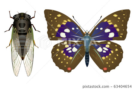 Bear seminar and Oomurasaki 63404654