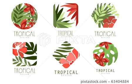 Geometric Tropical Logo Design Collection with Exotic Leaves and Red Flowers Vector Illustration Geometric Tropical Logo Design Collection with Exotic Leaves and Red Flowers Vector Illustration 63404884