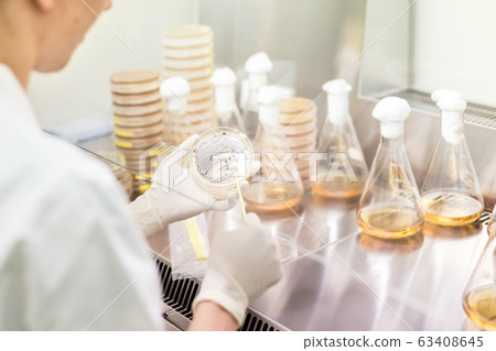 Female scientist working with laminar flow at corona virus vaccine development laboratory research facility. Female scientist working with laminar flow at corona virus vaccine development laboratory research facility. 63408645