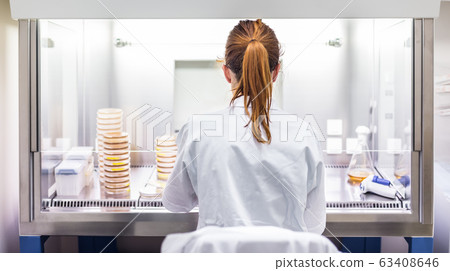 Female scientist working with laminar flow at corona virus vaccine development laboratory research facility. Female scientist working with laminar flow at corona virus vaccine development laboratory research facility. 63408646