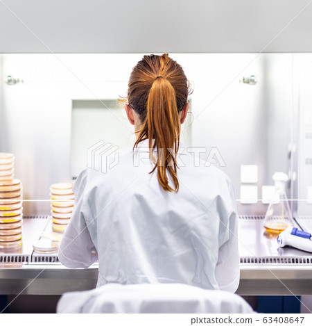 Female scientist working in corona virus vaccine development laboratory research facility. Female scientist working in corona virus vaccine development laboratory research facility. 63408647