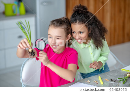 Sitting next to two girls, looking at the roots. 63408953